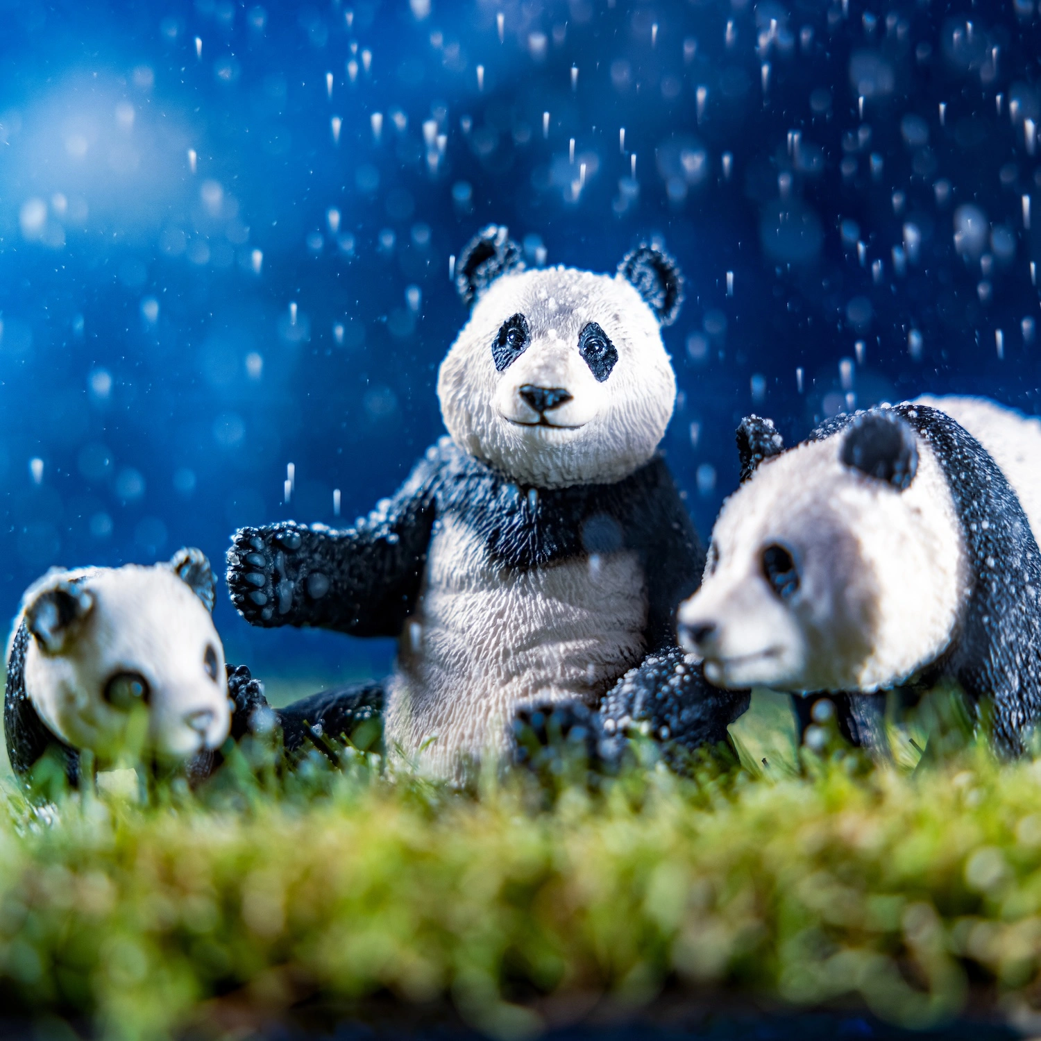 Empathy and Earth — The great pandas fine art photography