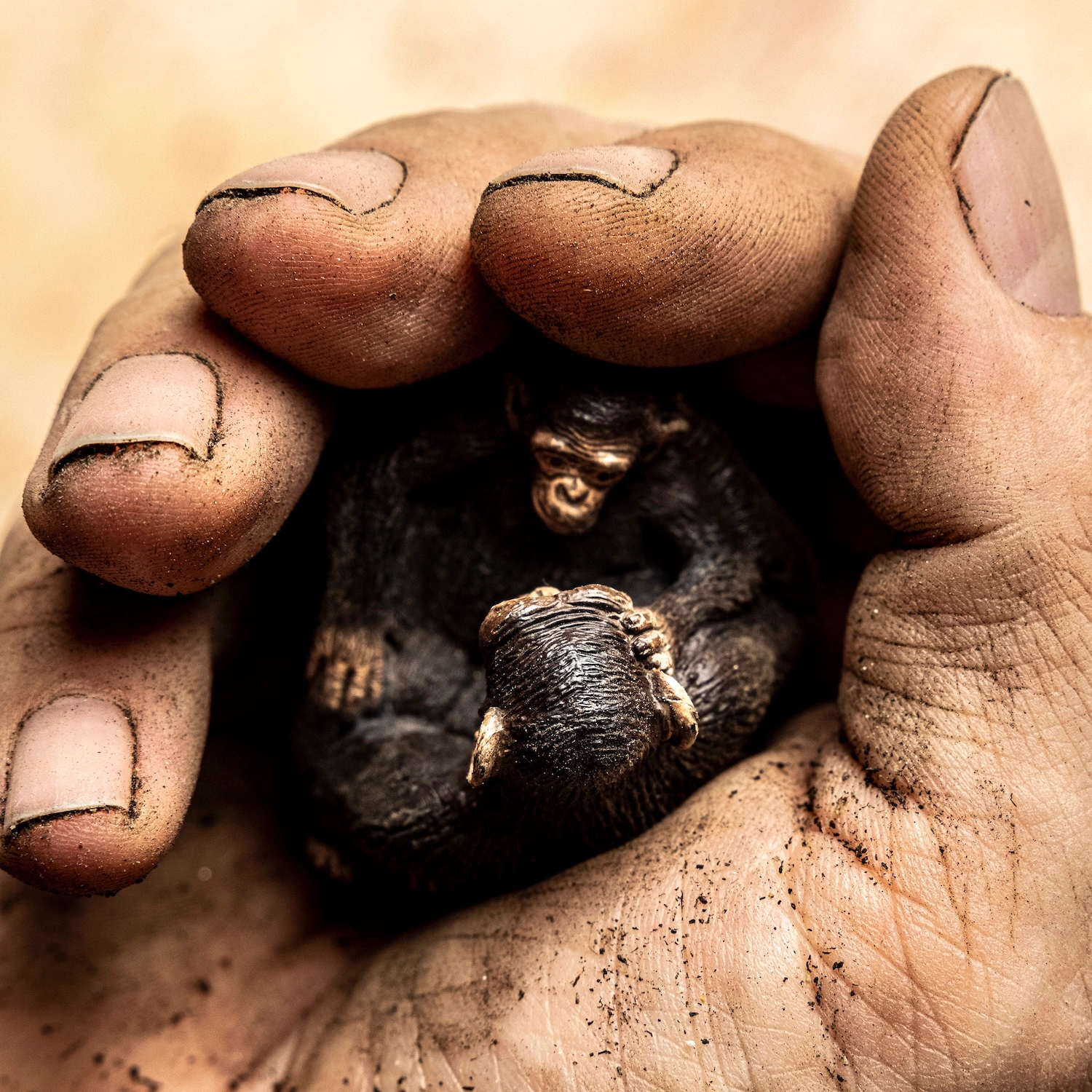 Empathy and Earth fine art photography — We, Animals 2024