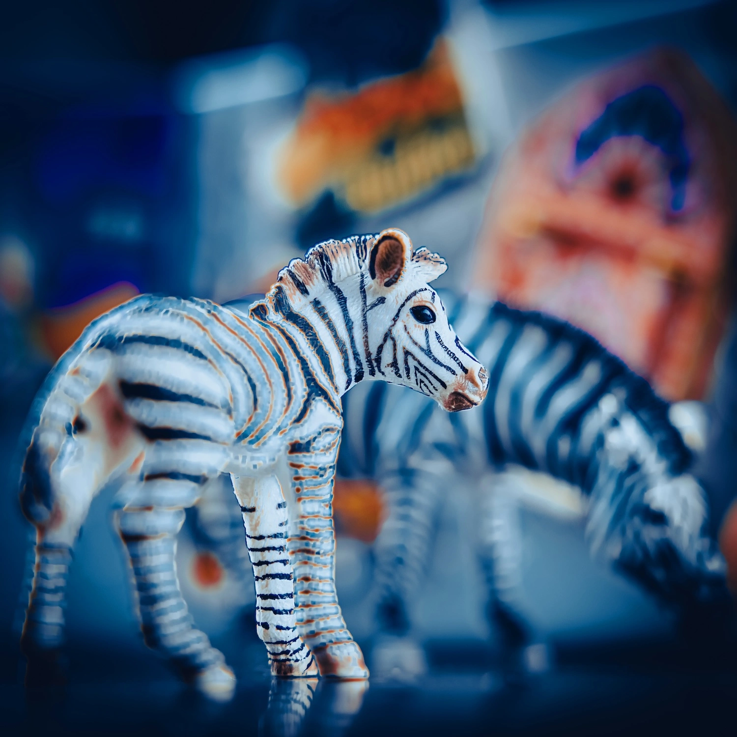 Empathy and Earth — Zebras fine art photography