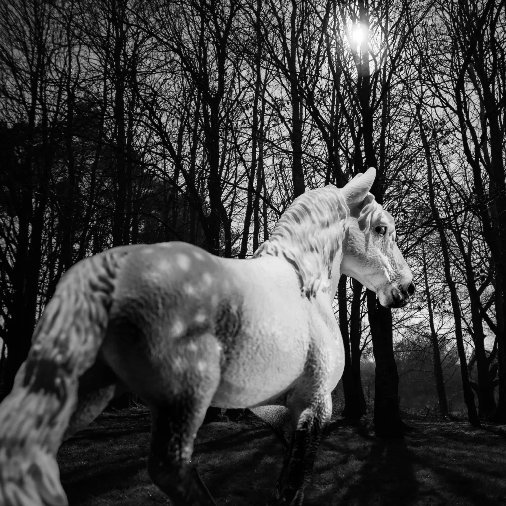 Cosmos & Myth Horse fine art animal photography series 2025