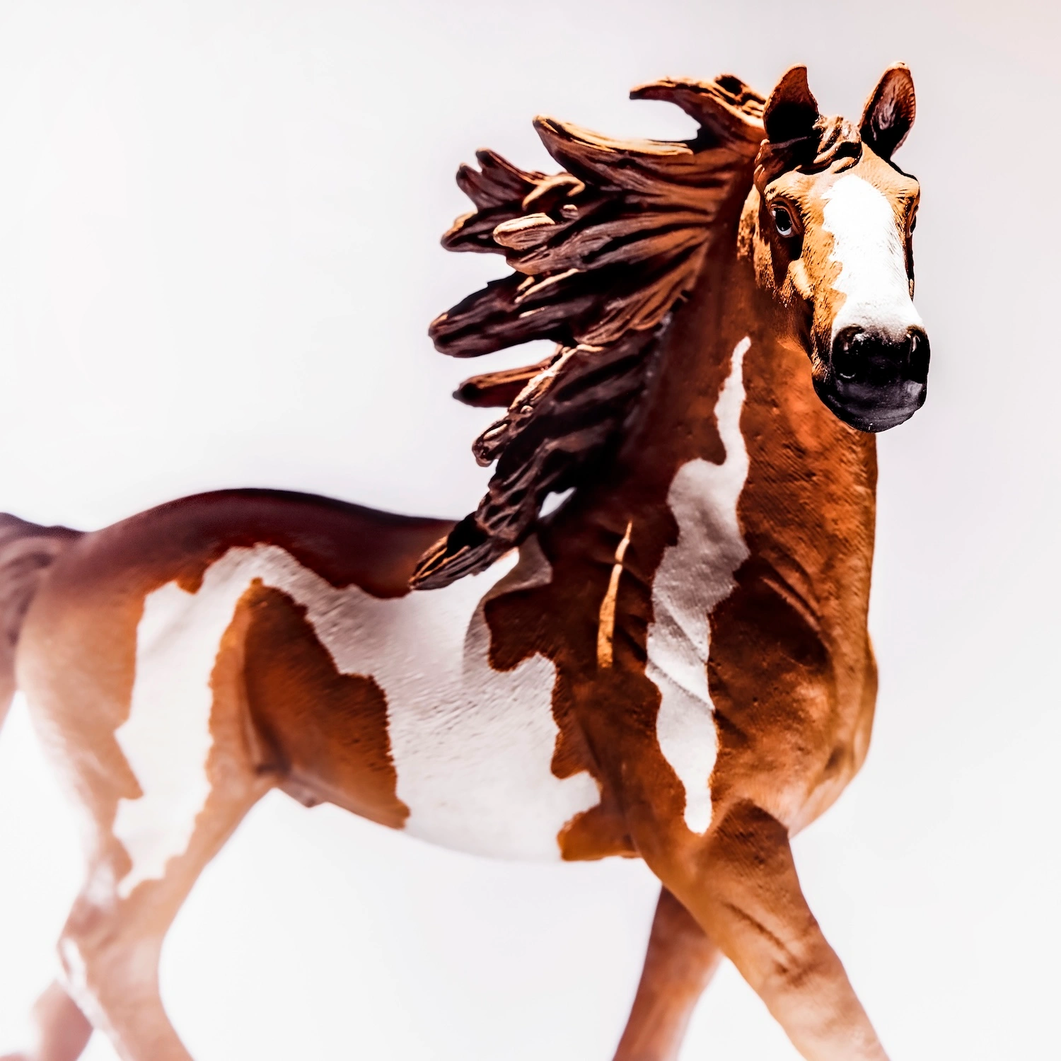 Cosmos & Myth Horse fine art animal photography series 2025