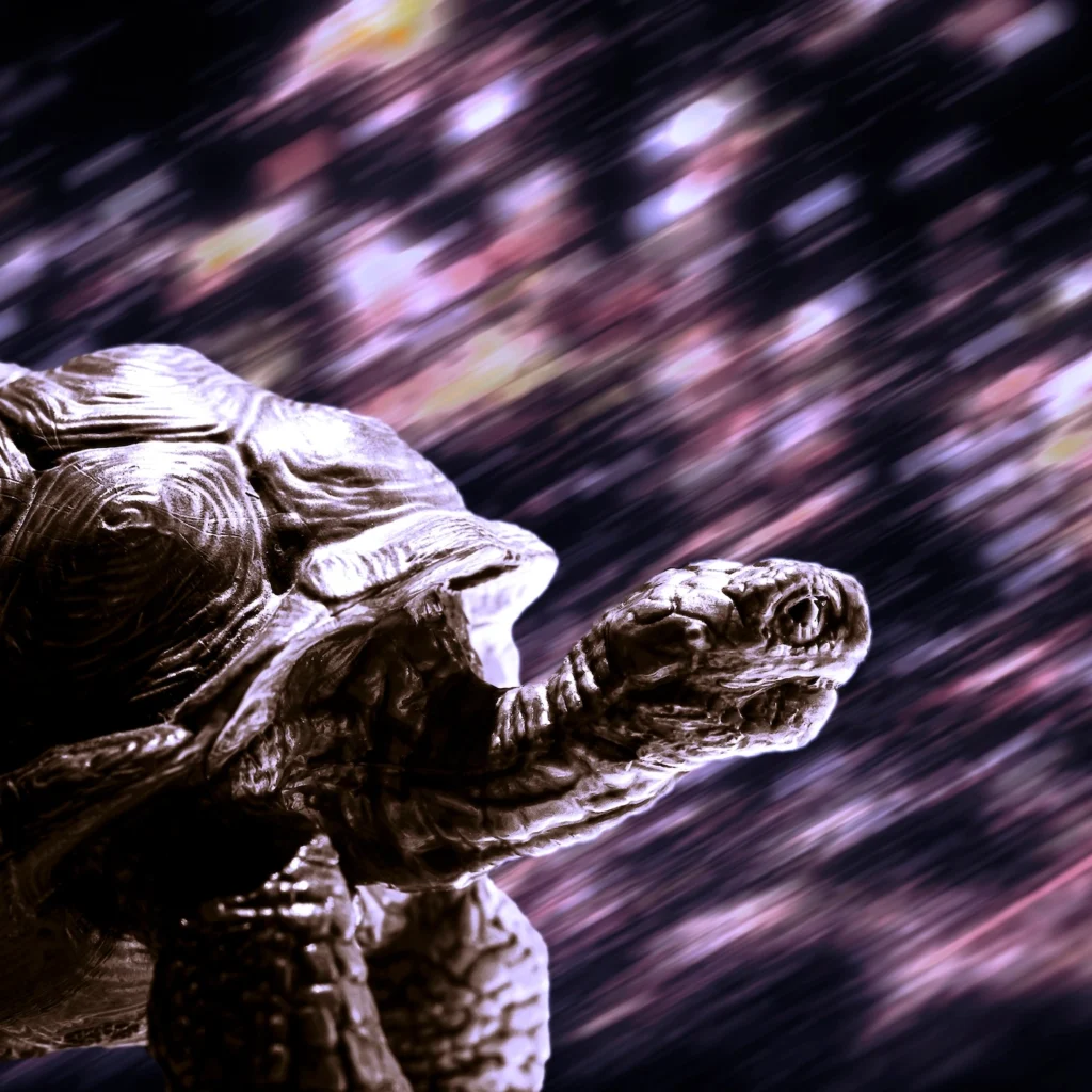 Cosmos & Myth The turtle fine art animal photography series 2025