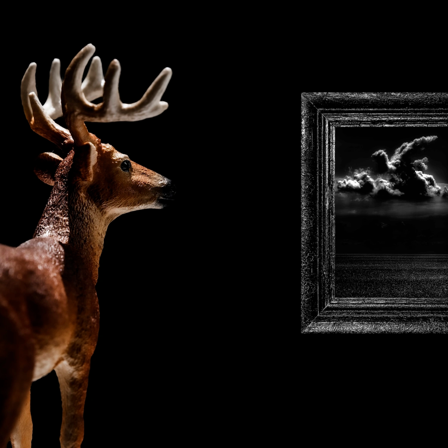 Cosmos & Myth The Red deer fine art animal photography series 2025